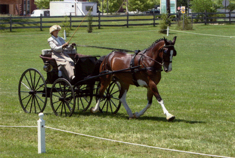 part time xray jobs near